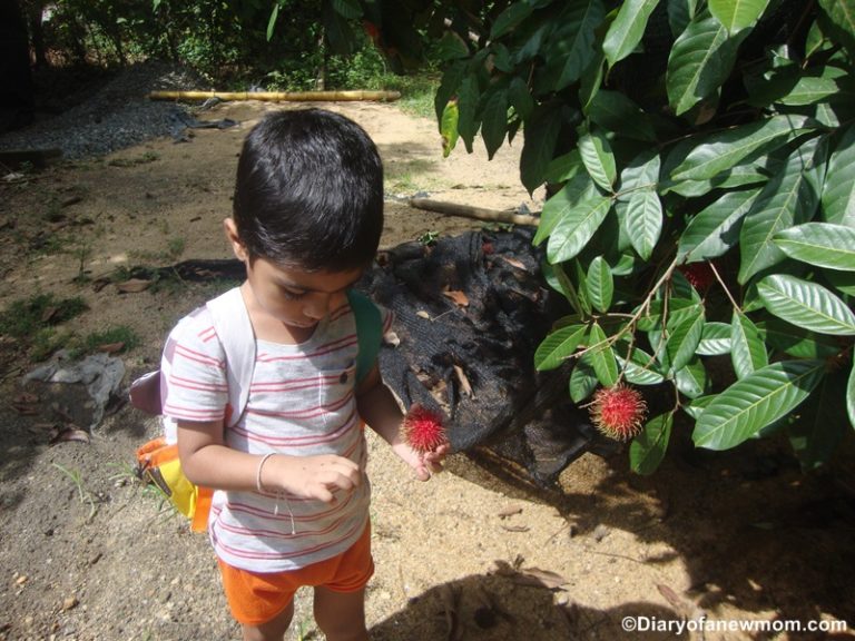 Food Safety Tips for Children