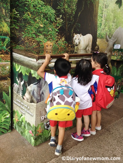 preschool field trips singapore