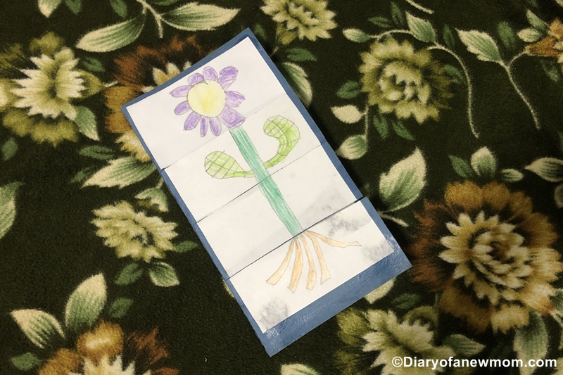 plant drawings for kids